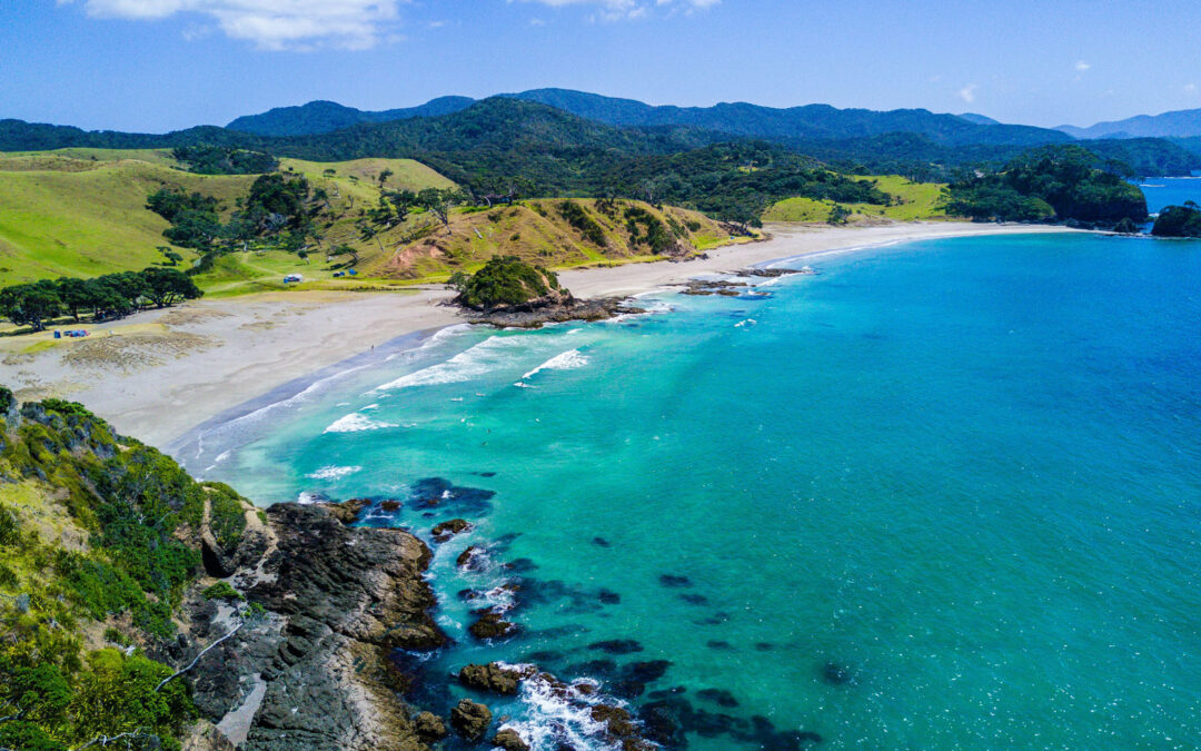 Awarded Projects from the 2025 Climate Resilient Fisheries Engagement Grants Request for Proposals